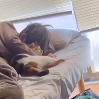 飼い主さんの腕の中で『目を覚ました三毛猫』→そっと抜け出したのに、ナデナデされると…『幸せすぎる朝の光景』に「かわいい」と反響