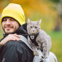 猫を『旅行に連れて行く』前に検討すべき注意点6つ　必要になる準備や負担を減らす方法も解説