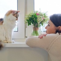 猫を『子ども扱いしすぎる』と起こるトラブル3つ　過度な愛情は逆効果に？心がけたい適切な距離感も
