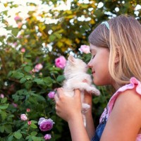 猫の『鼻が乾いている』ときに考えられる原因4つ　放置しても大丈夫？普段湿っている理由も解説