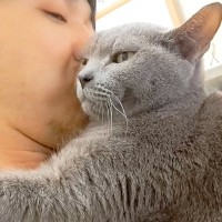 普段は凶暴な猫→オフの時はパパに密着して…意外すぎる『まるで別猫のような様子』に反響「地球上最も激しいツンデレ」「ギャップがたまらん」