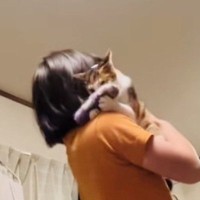 娘が猫に『お気に入りの手袋』を振って見せると…見事すぎる『コンビ芸』が56万再生「何度も見ちゃったｗ」「マジですごいｗ」と絶賛の声
