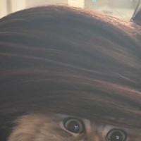 ママに『吸われる猫』→表情を見たら……笑わずにはいられない瞬間に９万いいね「この世の終わりのようなｗ」「本当にすごい表情ｗ」