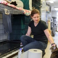 猫のために働くことができる『お仕事』3選　主な仕事内容から役立つスキルや資格まで