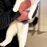 『猫が大嫌い』で『断固拒否』していたおじいちゃん→約１年後……『信じられない光景』に６万いいね「猫の顔よｗｗ」「温度差がたまらないｗ」