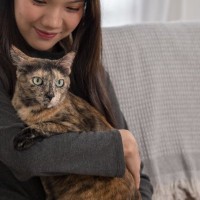 猫の性格は『毛色や模様』によって決まるの？5つのタイプ別の特徴や遺伝の仕組みまで