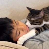 高熱を出して『寝込んでいる男の子』に……猫が見せた『普段とは違う姿』に涙が出ると120万再生「わかるんだよね」「子供の頃を思い出した」