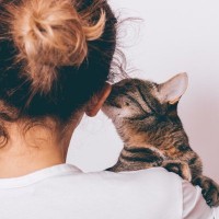 猫があなたの『顔を触ろうとする』理由4つ　考えられる心理や愛猫が喜ぶ応え方まで
