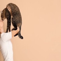 猫と『キス』すると感染するかもしれない病気4選　甘くみてはいけない理由や対策方法まで