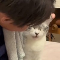 長男にだけ『特別な甘え方』をする猫…まるで恋人同士のような『尊すぎるやり取り』が68万再生「もう彼女ｗ」「大好きが溢れてるねｗ」