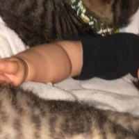 すやすやと眠る『赤ちゃん』→そばには『子猫たち』がいて…涙が出るほど尊い光景に２万いいね「守ってるね」「うらやましい」現在の様子も