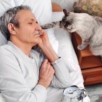 猫があなたにする『困るけど憎めない行動』5選　無邪気な仕草をみせるワケや接し方のコツまで