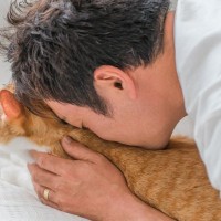 『猫吸い』をするなら守るべきこと3選　愛猫はどんな気持ちなの？注意したいリスクも解説