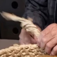 『猫ちぐら』を作っていたら…待ちきれなくなった『茶トラ猫の様子』が128万再生の大反響「完成する前なのにｗｗ」「ぴったりサイズｗ」