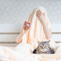 猫の飼い主が『つい我慢しがち』なこと3つ　気付けば猫優先？思わず共感する日常シーンとは