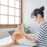 猫が急に『赤ちゃん返り』をする原因5つ　妙に甘えてくるのはなぜ？上手な対処法も解説
