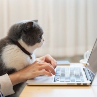 猫との暮らしで『思わず笑ってしまう』瞬間4選　あなたはいくつ共感できますか？