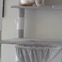 お客さんが来てパニックになった猫→とっさに『隠れた場所』が…まさかの光景に「ちょっと可愛すぎるｗ」「タワーの一部にしか見えないｗ」