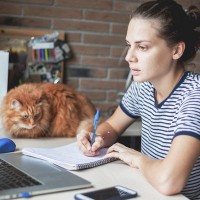 大学図書館で学生を癒すやさしい猫が「非公式マスコット」として大人気に　英国