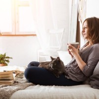 猫と人間の『生活リズムがズレている』ときの対処法4つ　崩さないためのコツや合わせるメリットまで