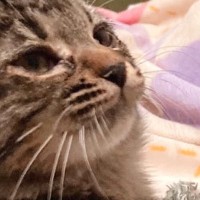 猫をお迎えして1週間、『名前』が全然決まらなくて…『候補を書いた紙』を見せてみたら→まさかの展開にほっこり