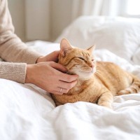猫が『親友と認めた人』にだけみせるサイン4つ　あなたの愛猫はどう？仲を深める関わり方のコツも