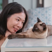 愛猫があなたの呼びかけに『返事している』ときのサイン5つ　無視しているワケではない？猫なりの返答方法とは