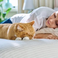 猫が見せる『亡くなる直前』のサイン5つ　見逃したくない変化や後悔しないための過ごし方まで