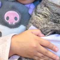 『大事な存在』をぎゅっと抱きしめる女の子→『猫の様子』を見ると…素敵な光景に８万いいね「相思相愛って美しい」「涙が出てきた」と反響
