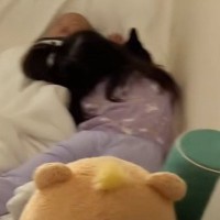 お布団を見ると『子供と猫』が集まっていて…心温まる『尊い光景』に「愛おしいしか言葉が出ない」「可愛い生物しかおらん」と癒される人が続出