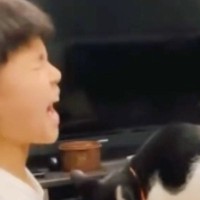宿題をしたい男の子のもとに『構ってほしい猫』が来た結果…全然進まない状況に爆笑の声「いろいろ重そうｗ」「おもろいｗ」と32万再生