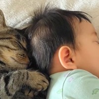 仲良くお昼寝中の『猫と赤ちゃん』→布団をめくってみたら…まさかの『シンクロしている光景』が101万再生「双子かな？」「同じサイズｗ」