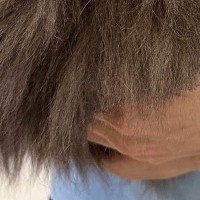 シャンプーされるのが嫌すぎる猫→飼い主さんの腕の中で…『可愛すぎる光景』に３万いいねの反響「いい毛玉っぷり」「別の生き物かと思った」