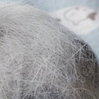 猫の毛で『豆大福』を作成した結果…本物そっくりな『驚愕のクオリティ』とまさかの瞬間に５万いいね「綺麗すぎて騙されたｗ」「美味しそうｗ」