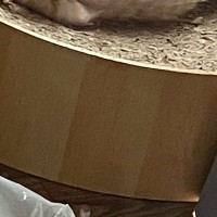 うちに来て『まだ1週間』しか経っていないのに…保護子猫が見せた『豪快すぎる寝姿』に3万いいね「大物だｗ」「安心したんだろうねｗ」