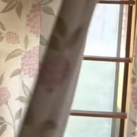 ふとカーテンをめくったら、『2匹の猫』が……想定外な『とんでもない光景』が398万再生「おててと表情ｗｗ」「なんで2匹いけんねん」