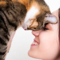 『たくさん愛情を注がれた猫』だけがみせる仕草や行動5選　あなたの愛猫はどう？上手な応え方まで解説