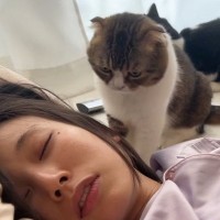 『二度寝するママ』を起こしたい猫→奮闘した結果…まさかの展開が可愛すぎると93万再生「最終決戦がおもろいｗ」「マジ笑った」と爆笑の声
