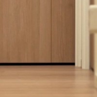 寝室のドアに向かって『みんなー』と呼ぶと…集まってきた『猫たちの様子』が可愛すぎると反響「しょぼしょぼｗ」「集合してくれるのいいね」