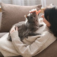 猫が『家族のケンカ』に反応する理由3選　仲裁しているの？割って入ろうとする心理とは