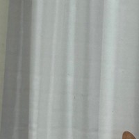 窓越しに『お出迎えしてくれた猫』→よく見たら……まさかの『貫通している光景』に「３度見してしまったｗ」「やり切った感ｗ」と４万いいね