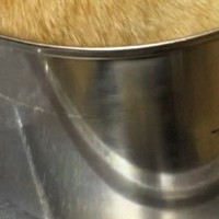 洗った『鍋』を置いておいたら、中で『ネコ』が……『衝撃的な瞬間』に４万いいねの反響「ネコは液体ｗ」「吹きこぼれてるｗ」と爆笑の声