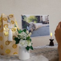 愛猫を亡くしたことによる『ペットロス』で表れる症状5つ　辛いお別れから立ち直るための対処法も