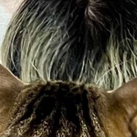 うつ伏せで寝ていた飼い主→猫が『背中の上』に乗った結果…『驚きの光景』に２万いいね「一瞬わからなかったｗ」「スナイパーもびっくり」