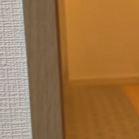 キッチンに並べられた『水の入ったペットボトル』→近づいてみると…予想外の『かわいい光景』が16万再生「満足そうｗ」「たまらなく愛おしい」