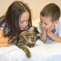 猫の『見た目に変化』が起きる原因5選　表情や毛色などが別猫のように変わる理由とは