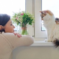 猫を『ニックネーム』で呼んでも問題ない？　愛称を使うときに気をつけるべきポイント3つ
