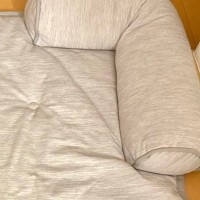 猫のために今年も『ひんやりマット』を出した結果…まさかの光景に２万いいね「猫ちゃんって感じｗ」「まったく同じかと思ったｗ」昨年の様子も