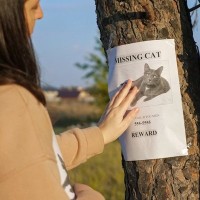 行方不明の愛猫がやっと戻ってきた…その３週間後、もう１匹同じ猫が現れた⁉　飼い主さんの「びっくり体験」にネット民ざわつく