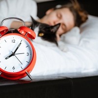 猫が必要としている『モーニングルーティン』5選　毎朝欠かせない行動が持つ意味も解説
